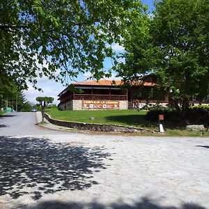 Alda Palas De Rei